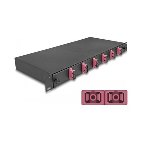 Delock - Optická vana - OM4, smontovaný - prední - montáž do racku - SC Duplex X 6 - cerná - 1U - 19"