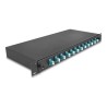 Delock - Optická vana - OM3, kompletne sestavená - prední - montáž do racku - LC Duplex x12 - cerná - 1U - 19"