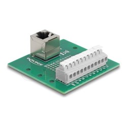 Delock - Sítový adaptér - RJ-50 (F) úhlový do 11pinový terminální blok - montáž na DIN lištu, tlacítko, roztec 3,81 mm, p… 67013