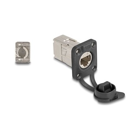 Delock - Modul - D-Type, with protective cap, IP66 dust and waterproof - CAT 6a - STP - RJ-45, LSA - stríbrná