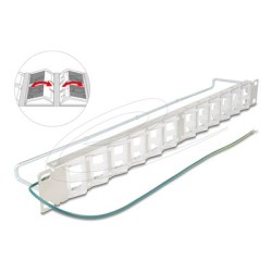 Delock - Patch panel (záslepný) - natocné porty s ochranným úchytem - montáž do racku - stríbrná - 1U - 19" - 24 porty