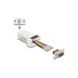 Delock - Sériový adaptér - DB-9 (F) do RJ-45 (F) - CAT 5/5e/6 - individuálne priraditelné sériové rozhraní, krídlové šrouby