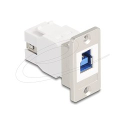 Delock - USB adaptér - USB Type B (F) do USB typ A (F) - montáž na panel, up to 5 Gbps data transfer rate, kuželové šrouby