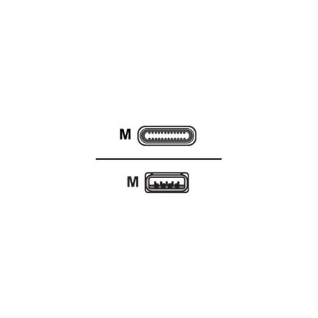 Huddly - Kabel USB - USB typ A (M) do USB-C (M) - USB 3.0 - 1.15 m