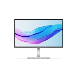 Lenovo/L24m-4A/23,8"/IPS/FHD/100Hz/1ms/Gray/3R