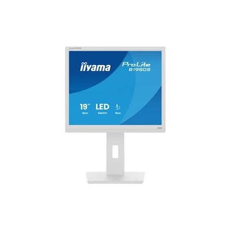 iiyama ProLite/B1980S-W1/19"/TN/1280x1024/75Hz/3ms/White/3R