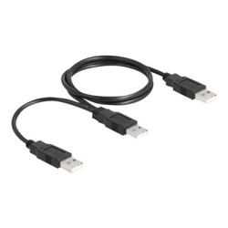 Delock - Kabel USB - USB (M) do USB (M) - USB 2.0 - 70 cm - černá