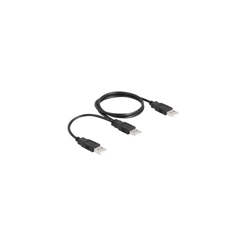 Delock - Kabel USB - USB (M) do USB (M) - USB 2.0 - 70 cm - černá