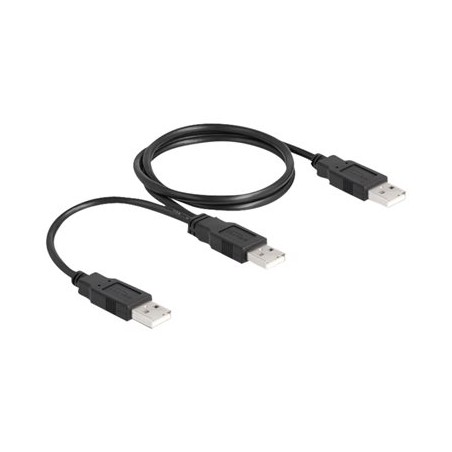 Delock - Kabel USB - USB (M) do USB (M) - USB 2.0 - 70 cm - černá