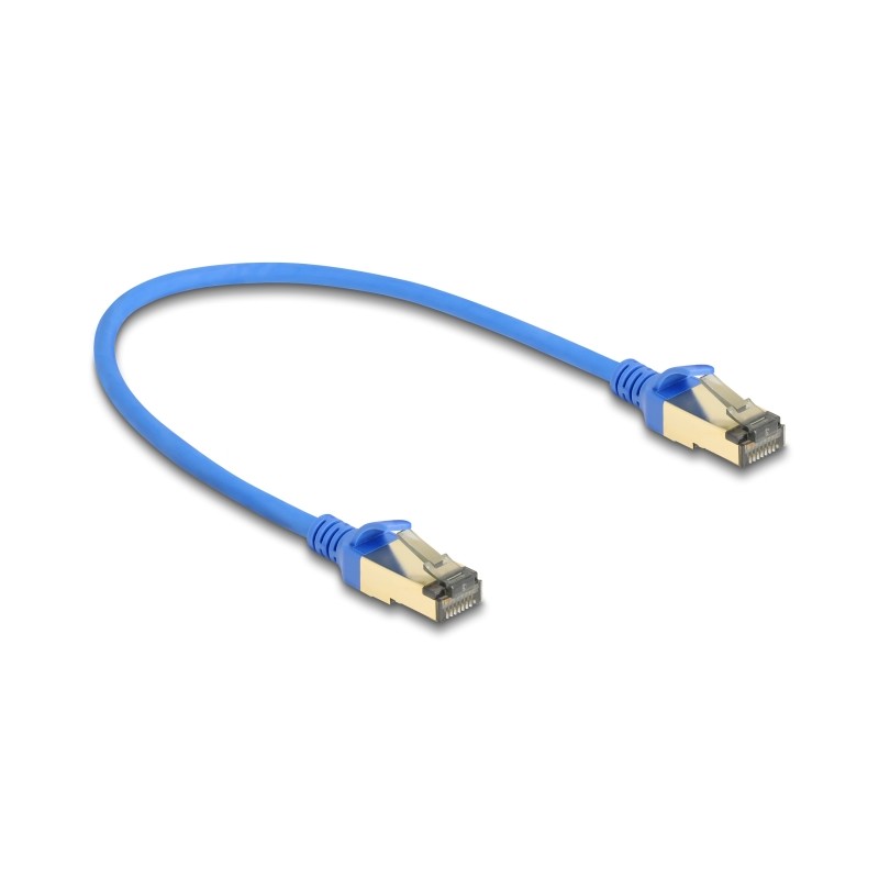 Delock - Patch kabel - RJ-45 (M) do RJ-45 (M) - 30 cm - 4.9 mm - F/FTP - CAT 8.1 - neobsahuje halogen, provedení bez hrbolku