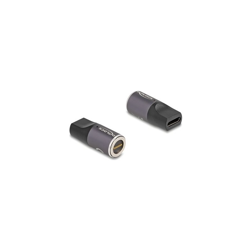 Delock - Adaptér konektoru k napájení - 24 pin USB-C (F) do 8pinový konektor magnetický - 20 V - 3 A - antracit, cerná
