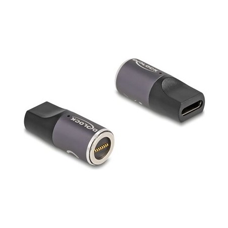 Delock - Adaptér konektoru k napájení - 24 pin USB-C (F) do 8pinový konektor magnetický - 20 V - 3 A - antracit, cerná