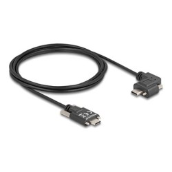 Delock - USB kabel - 24 pin USB-C (M) rovné do 24 pin USB-C (M) levý/pravý úhel - USB 2.0 - 3 A - 2 m - krídlové šrouby