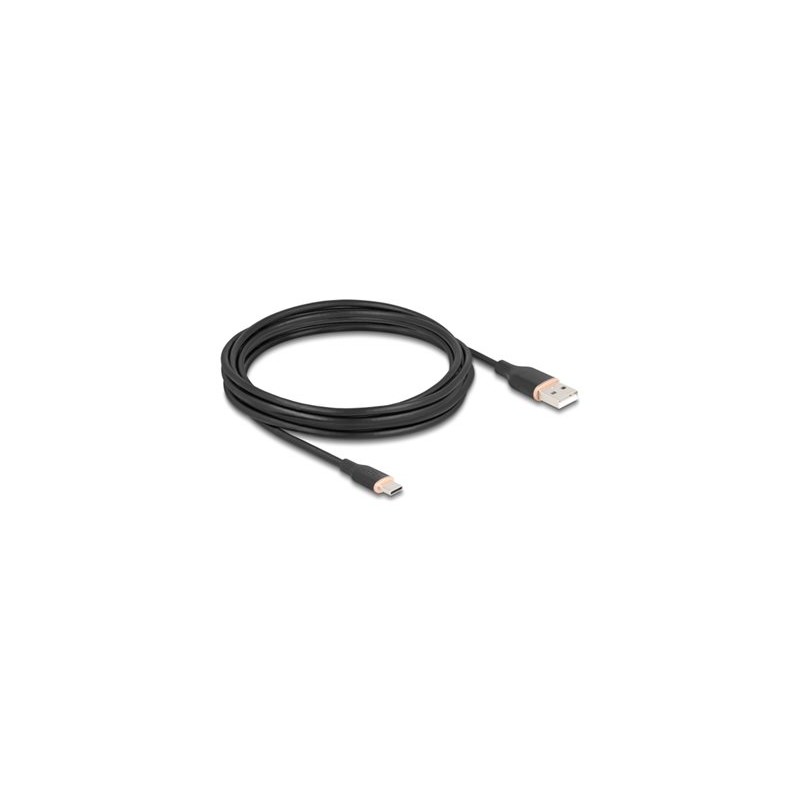 Delock - USB kabel - USB (M) do 24 pin USB-C (M) - USB 2.0 - 3 A - 4 m - cerná