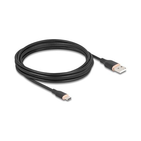 Delock - USB kabel - USB (M) do 24 pin USB-C (M) - USB 2.0 - 3 A - 4 m - cerná