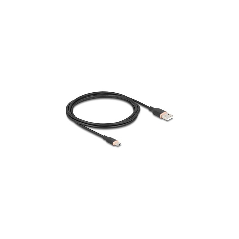 Delock - USB kabel - USB (M) do 24 pin USB-C (M) - USB 2.0 - 3 A - 2.5 m - cerná