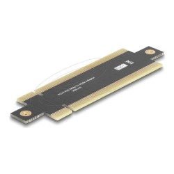 Delock - Riser karta 81292