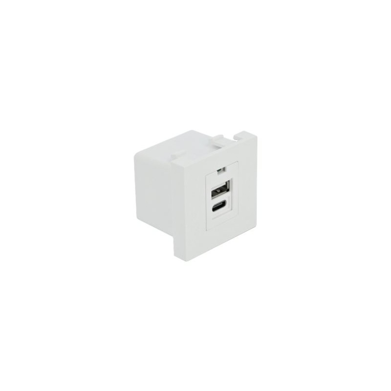 Delock - Easy 45 - USB zásuvka - USB, USB typu C - 1 souprava - 2.1 A - bílá, RAL 9003
