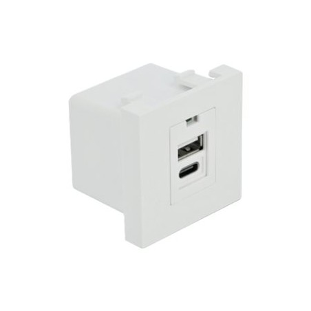 Delock - Easy 45 - USB zásuvka - USB, USB typu C - 1 souprava - 2.1 A - bílá, RAL 9003