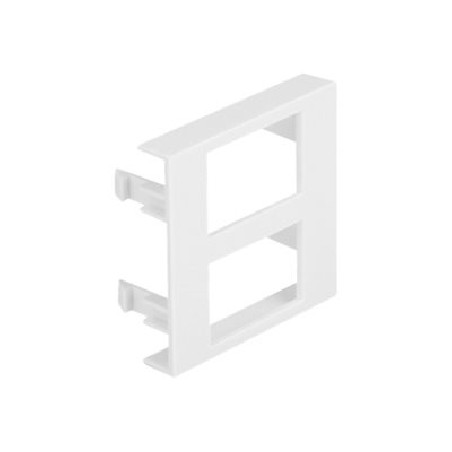 Delock - Easy 45 - zacvakávací modul - 45 x 45 mm, hranatý výřez 17 x 24,3 mm - 2 oddíly - bílá (balení 5)