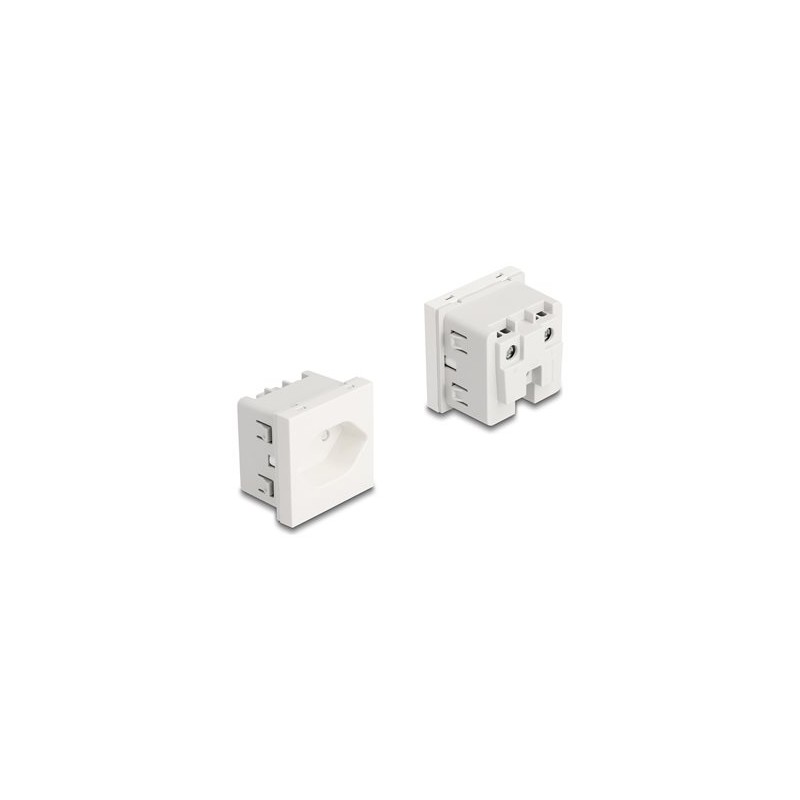 Delock - Easy 45 - výstupní zásuvka - uzemnená, 45 x 45 mm - 2P - Typ 13 - s klapkami - 1 napájecí zásuvka - 10 A - AC 250 V