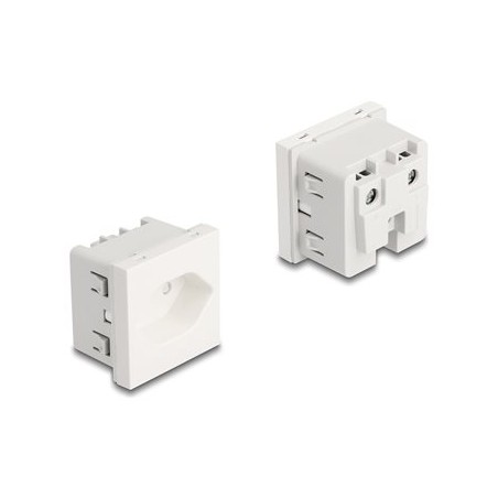 Delock - Easy 45 - výstupní zásuvka - uzemnená, 45 x 45 mm - 2P - Typ 13 - s klapkami - 1 napájecí zásuvka - 10 A - AC 250 V