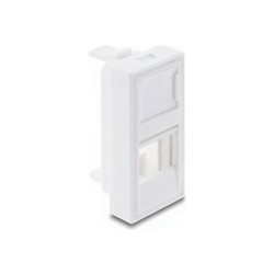 Delock - Easy 45 - zacvakávací modul - kryt, port s prachovým víckem, 22,5 x 45 mm - s popisovacím oknem - 2 oddíly - 2 moduly