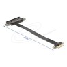 Delock - Riser karta 81496