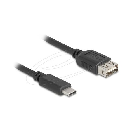 Delock - USB kabel - USB-C (M) do USB (F) reverzní - USB 2.0 - 3 A - 2 m - snadný USB - cerná