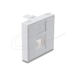 Delock - Easy 45 - držák modulu keystone - s prachovým víckem, 45 x 45 mm - 1 modul - bílá
