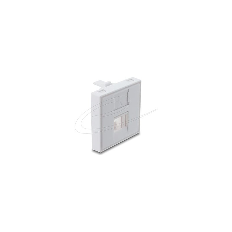Delock - Easy 45 - držák modulu keystone - s prachovým víckem, 45 x 45 mm - 1 modul - bílá