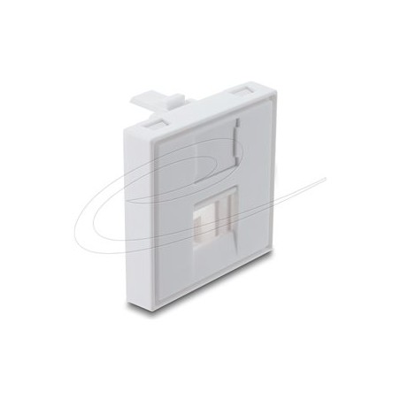 Delock - Easy 45 - držák modulu keystone - s prachovým víckem, 45 x 45 mm - 1 modul - bílá