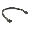 Delock - Kabel USB - USB záhlaví 10 pinu (F) do USB záhlaví 10 pinu (F) - USB 2.0 - 25 cm - roztec 2,54 mm - cerná