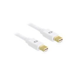 Delock - Kabel DisplayPort - Mini DisplayPort (M) do Mini DisplayPort (M) - 2 m - bílá