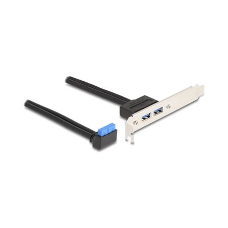 Delock - Kabel USB - 19pinový USB header (M) pravoúhlý do USB (F) - 50 cm - up to 5 Gbps data transfer rate - cerná