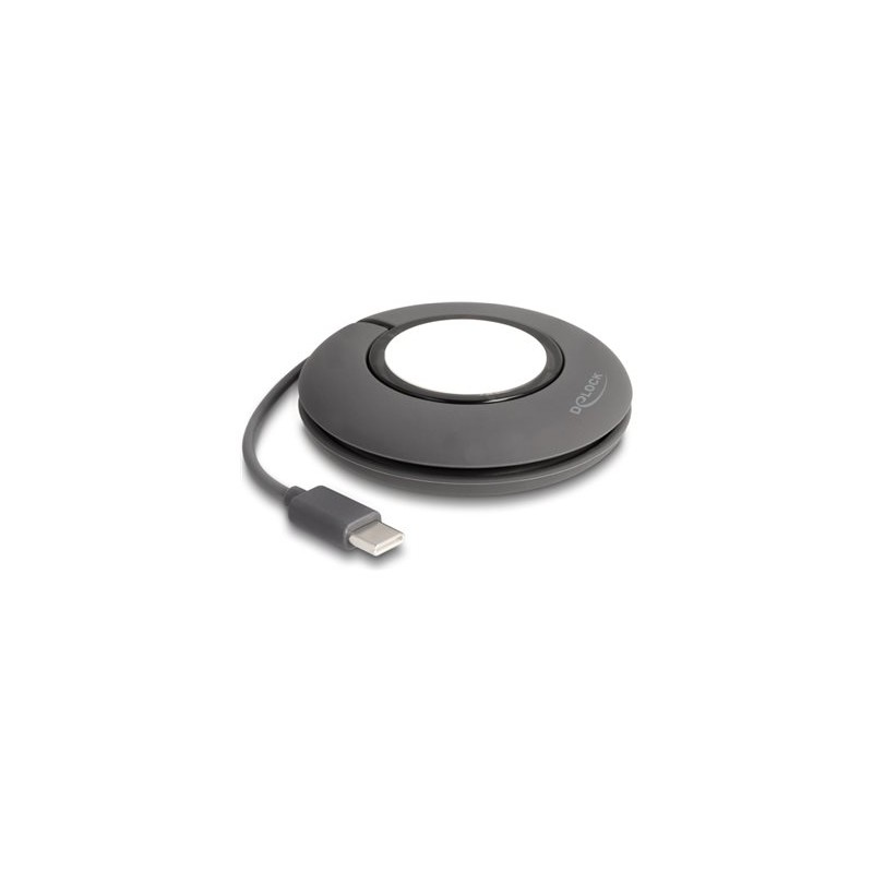 Delock - Napájecí kabel pro chytré hodinky - 24 pin USB-C s piny (male) magnetický - 1 m - šedá