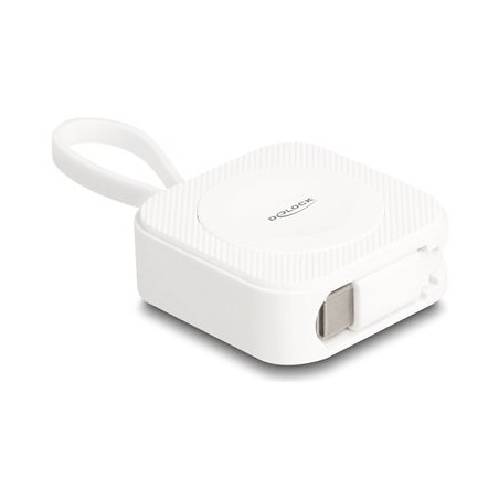 Delock - Napájecí kabel pro chytré hodinky - 24 pin USB-C s piny (male) magnetický - 12.5 cm - bílá