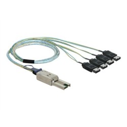 Delock - Kabel SATA/SAS - 4 linky - eSATA (F) do 26 pinů 4x Shielded Mini MultiLane SAS (SFF-8088) (M) - 1 m
