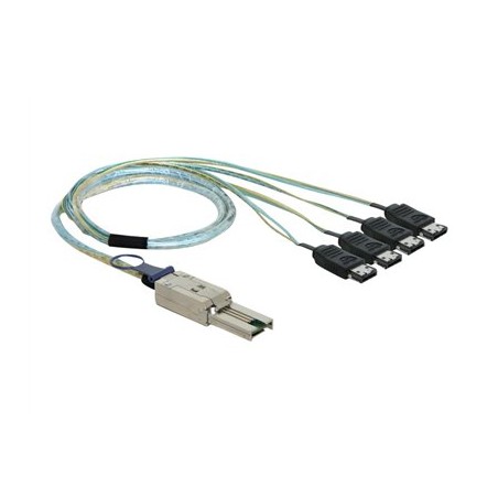 Delock - Kabel SATA/SAS - 4 linky - eSATA (F) do 26 pinů 4x Shielded Mini MultiLane SAS (SFF-8088) (M) - 1 m