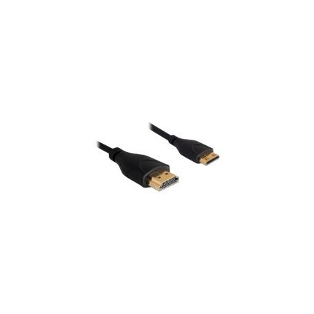 Delock High Speed HDMI with Ethernet - Kabel HDMI s ethernetem - HDMI s piny (male) do 19 pin mini HDMI Type C s piny (male)