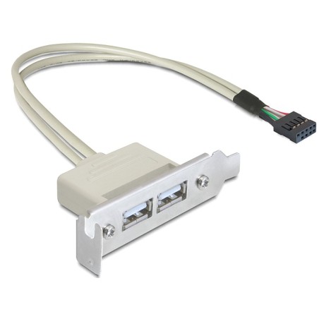 Delock Slot bracket - Kabel USB - USB (F) do hlavička USB 9 pinů (F) - USB 2.0 - 50 cm
