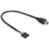 Delock USB 2.0 Pin Header - Adaptér z USB interní na externí - mini-USB typ B (M) do 5kolíkový konektor USB 2.0 (F) - 30 cm