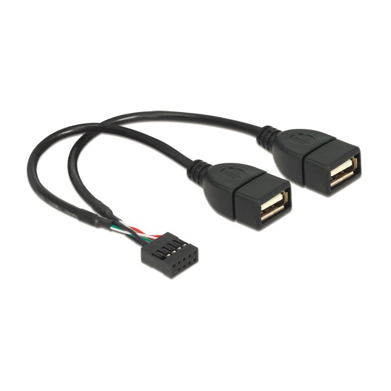 Delock - Kabel z USB iinterní na externí - USB (F) do hlavička USB 9 pinů (F) - 20 cm