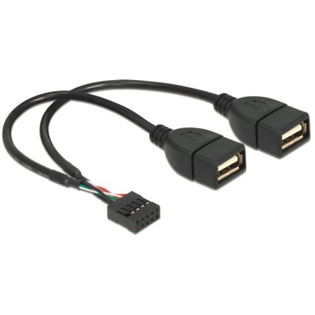 Delock - Kabel z USB iinterní na externí - USB (F) do hlavička USB 9 pinů (F) - 20 cm