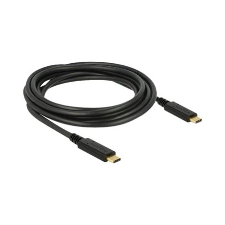 Delock - USB kabel - 24 pin USB-C (M) do 24 pin USB-C (M) - USB 2.0 - 5 A - 3 m - černá