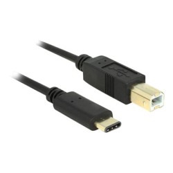 Delock - USB kabel - USB-C (M) do USB typ B (M) - USB 2.0 - 3 A - 2 m - černá