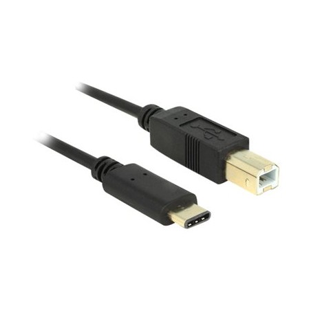 Delock - USB kabel - USB-C (M) do USB typ B (M) - USB 2.0 - 3 A - 2 m - černá