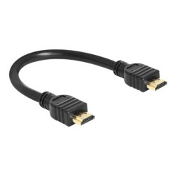 Delock High Speed HDMI with Ethernet - Kabel HDMI s ethernetem - HDMI s piny (male) do HDMI s piny (male) - 25 cm