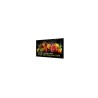 55" LED Philips 55BDL5050D-UHD,600cd,AN,24/7