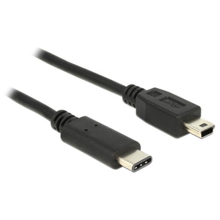 Delock - USB kabel - 24 pin USB-C (M) do mini-USB Type B (M) - USB 2.0 - 500 mA - 2 m - černá